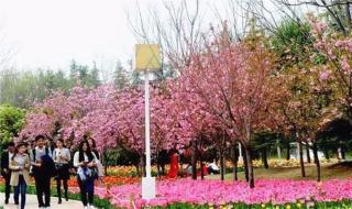 在这春暖花开的季节