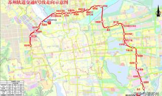 男生安全线什么意思