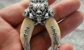 换一颗大牙多少钱一颗