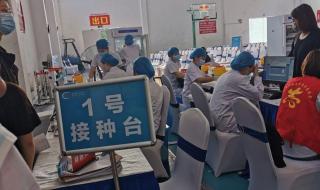 智飞生物新冠疫苗