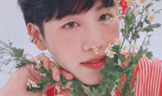 爱情力学泰剧在线播放