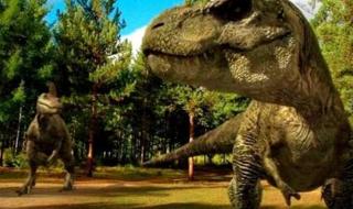 什么动物的皮肤最厚