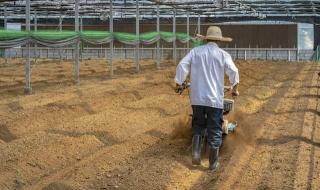 农业补贴多少钱一亩