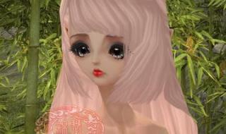 完美国际女刺客代码