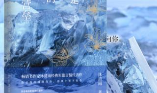 你是我的城池营垒剧情介绍 你是我的城池营垒txt