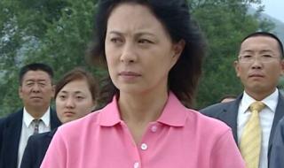 市委书记日记电视剧