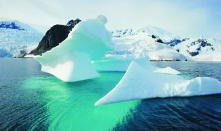 阿德里企鹅流氓行为