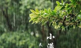 小满下雨有什么说法