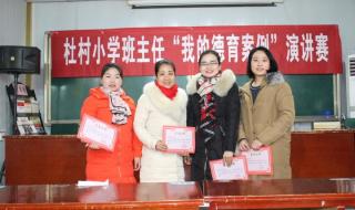 小学班主任教育案例