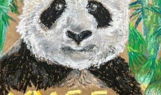 丫丫回国之后会如何安排 丫丫专机已降落上海