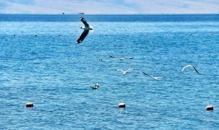 银川是哪个省的城市