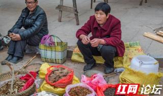 二月初八是什么日子_