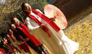 你喜欢银杏吗下一句