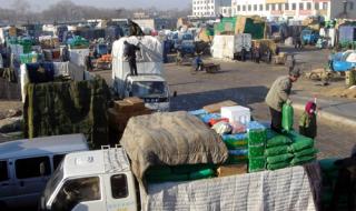 招蔬菜装卸工300一天