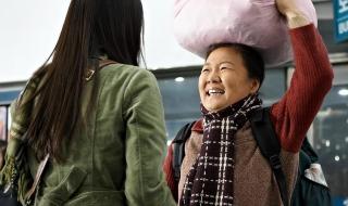 一个女婿半个儿全集