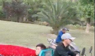 “二师兄”游泳自救