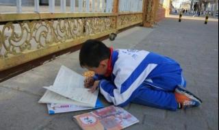 小学生暑假日记大全