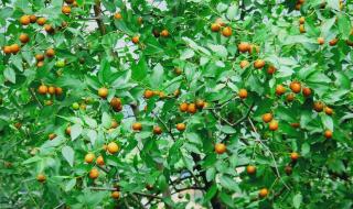  网上什么东西最好卖