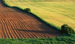 农业补贴多少钱一亩