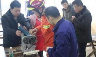 常州面条机生产厂家