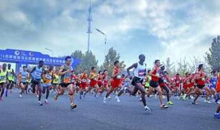 安徽单招成绩查询入口