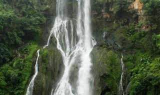 2011年贵州高考分数线